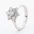 Platinum 1.00ct Multi Cut Diamond Daisy Cluster Ring KDC100P/81119C