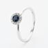 9ct White Gold Brilliant Cut Sapphire & Diamond Cluster Ring NTR832SD-9WG