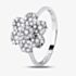 9ct White Gold Diamond Flower Cluster Ring BLPJR0217-D