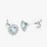 9ct White Gold Aquamarine & Diamond Cluster Stud Earrings NTE409AQD-9WG