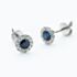 9ct White Gold Blue Sapphire & Diamond Cluster Stud Earrings NTE409SAD-9WG