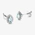 9ct White Gold Pear Cut Aquamarine & 0.27ct Diamond Cluster Stud Earrings NTE409PEAR-AQD-9WG