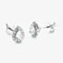 9ct White Gold Pear Cut Moonstone & 0.27ct Diamond Cluster Stud Earrings NTE409PEAR-MOOND-9WG