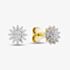 Pure Brilliance 9ct Yellow Gold 0.20ct Diamond Flower Stud Earrings THE48851-20 (YG)