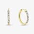Pure Brilliance 9ct Yellow Gold 0.05ct Diamond Hoop Earrings THE48230-05 (YG)