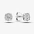 9ct White Gold 0.25ct Diamond Stud Earrings THE5862-25