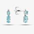  9ct White Gold Aquamarine & Diamond Dropper Earrings BSSE413-AQ
