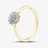 Pure Brilliance 9ct Yellow Gold 0.15ct Diamond Flower Cluster Ring THR48444-15 (YG)