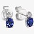 Tivon 18ct White Gold Oval Tanzanite & Diamond Stud Earrings EW-0520-TZ