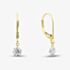 9ct Yellow Gold 1.00ct Brilliant Cut Lab Grown Diamond Drop Lever Back Earrings LGE46856-100SF