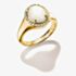 THOMAS SABO Fluid Elegance 18ct Yellow Gold Plated Mother of Pearl Halo Signet Ring TR2542-M01-14