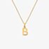 Hot Diamonds HD X Golden Edit Golden Edit B Pendant Necklace DP940