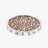 Hot Diamonds Emozioni Scintilla Champagne Loyal 25mm Coin EC370
