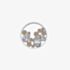 Hot Diamonds Emozioni Freedom Champagne 25mm Coin EC448