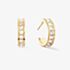 Coeur De Lion Gold Tone Stainless Steel Crystal Small Hoop Earrings 0131/21-1816