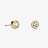 Coeur De Lion Gold Tone Stainless Steel Crystal Stud Earrings 0228/21-1816