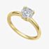 Diamonfire Gold Plated Double Claw Cubic Zirconia Solitaire Ring R4007