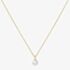 Ania Haie Miss Dainty 14ct Gold Plated Shell Pearl Pendant Necklace N065-01G