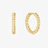 Ania Haie Chill Voyager 14ct Gold Plated Textured Medium Hoop Earrings E063-05G