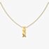 Tommy Hilfiger Gianna Ladies Gold Plated Stud Drop Pendant Necklace 2780913