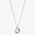 Fossil Duo Heart Rose Gold Tone Stainless Steel Necklace JF03205791