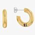Tommy Hilfiger Ladies Gold Circles Hoop Earrings 2780949