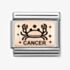 Nomination CLASSIC Composable Plates Cancer Charm 430112/04