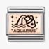 Nomination CLASSIC Composable Plates Aquarius Charm 430112/11