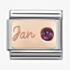 Nomination CLASSIC Rose Gold January Garnet Charm 430508/01