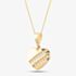 9ct Yellow Gold Cubic Zirconia Heart Necklace P1610Y