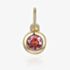 9ct Yellow Gold 0.17ct Pink Tourmaline Birthstone Bubble Charm NTCH409PTOUR-9YG