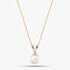 9ct Yellow Gold Akoya Pearl Pendant Necklace PNZ106CM