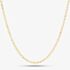 9ct Yellow Gold Round Belcher Chain SRBP-230-9Y