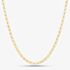 9ct Yellow Gold Round Belcher Chain SRBP-350-9Y