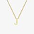 9ct Yellow Gold Mini Initial J Nceklace 1.19.0159