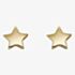 Gold Classic 9ct Yellow Gold Small Star Stud Earrings GE2366