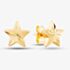 9ct Yellow Gold Star Stud Earrings 1551483