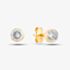 9ct Yellow Gold Cubic Zirconia Stud Earrings 1.57.9949