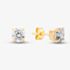 9ct Yellow Gold Cubic Zirconia Stud Earrings SE605