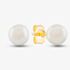 9ct Yellow Gold Akoya Pearl Stud Earrings EOZ102CM