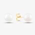 9ct 6 x 6.5mm Akoya Pearl Stud Earrings EOZ103CM