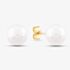 9ct Yellow Gold 8.5-9mm Akoya Pearl Stud Earrings EOZ145CM