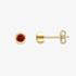 Gold Impression 9ct Yellow Gold Round Garnet Stud Earrings 120325147568