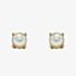 9ct Yellow Gold Freshwater Pearl June Birthstone Stud Earrings GE2331