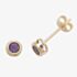Fashionista Gold 9ct Gold Amy Stud Earrings ES425AM