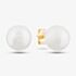 9ct Yellow Gold Freshwater Pearl Stud Earrings EOZ108RF