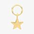 9ct Yellow Gold Star Earring Charm EPN004