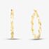 9ct Yellow Gold 22.5mm Twisted Hoop Earrings 1.51.2259