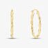 9ct Yellow Gold Oval Twisted Hoop Earrings AR050Y