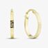 9ct Yellow Gold Patterned Hoop Earrings E-RTGS-21515-9Y